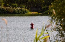 Урочище "Церковный рынок" на Дону у станицы Кочетовской