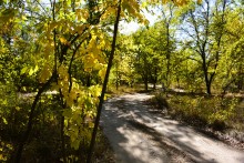 Урочище "Церковный рынок" на Дону у станицы Кочетовской