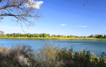 Урочище "Церковный рынок" на Дону у станицы Кочетовской