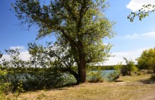 Урочище "Церковный рынок" на Дону у станицы Кочетовской