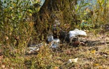 Урочище "Церковный рынок" на Дону у станицы Кочетовской