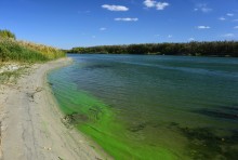 Урочище "Церковный рынок" на Дону у станицы Кочетовской