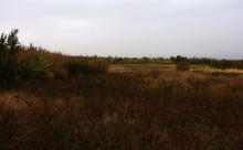 Краски октября