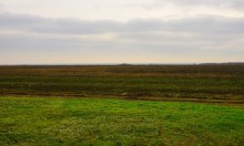 Подвиг лётчика Жотоножко у хутора Тузлуков