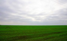 Подвиг лётчика Жотоножко у хутора Тузлуков