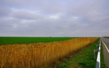 Подвиг лётчика Жотоножко у хутора Тузлуков