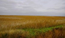 Подвиг лётчика Жотоножко у хутора Тузлуков