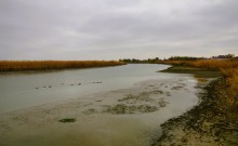 Подвиг лётчика Жотоножко у хутора Тузлуков