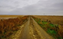 Подвиг лётчика Жотоножко у хутора Тузлуков