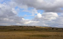 Качалинский лес у хутора Качалин на слиянии рек Быстрой и Гнилой