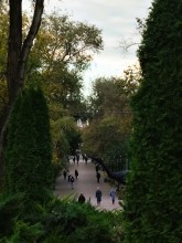 Ростовчане