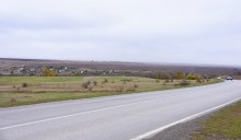 Уборка подсолнечника