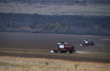 Уборка подсолнечника