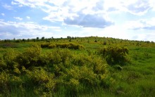 Меловой пещерный храм на берегу Дона на границе Ростовской и Воронежской областей