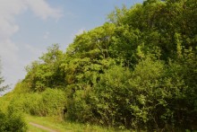 Меловой пещерный храм на берегу Дона на границе Ростовской и Воронежской областей