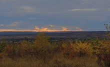 Осенние деревья в Кундрюченских лесах