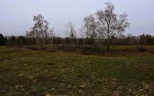 Кучугуры на Калитве