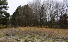 Кучугуры на Калитве