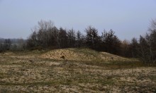 Кучугуры на Калитве