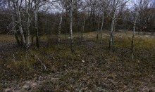 Кучугуры на Калитве