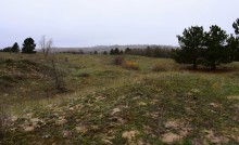 Кучугуры на Калитве