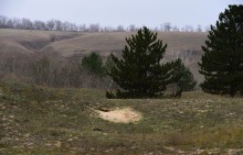 Кучугуры на Калитве