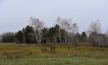 Кучугуры на Калитве