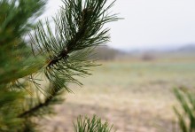 Кучугуры на Калитве