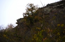 Скалы на Северском Донце между устьем Быстрой и скалой Западня