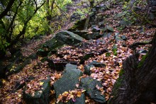 Скалы на Северском Донце между устьем Быстрой и скалой Западня
