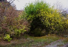 Скалы на Северском Донце между устьем Быстрой и скалой Западня