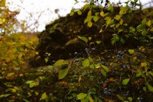 Скалы на Северском Донце между устьем Быстрой и скалой Западня