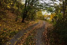 Скалы на Северском Донце между устьем Быстрой и скалой Западня