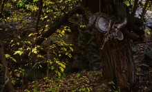 Скалы на Северском Донце между устьем Быстрой и скалой Западня