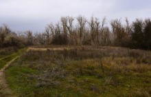 Стоянка древнего человека Хрящи на Северском Донце