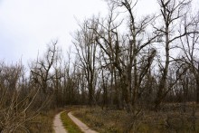Стоянка древнего человека Хрящи на Северском Донце