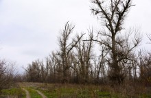 Стоянка древнего человека Хрящи на Северском Донце