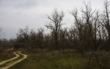 Стоянка древнего человека Хрящи на Северском Донце