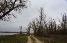 Стоянка древнего человека Хрящи на Северском Донце
