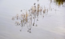 Стоянка древнего человека Хрящи на Северском Донце