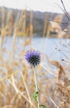 Стоянка древнего человека Хрящи на Северском Донце