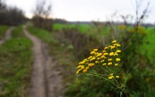 Стоянка древнего человека Хрящи на Северском Донце