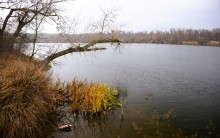 Стоянка древнего человека Хрящи на Северском Донце