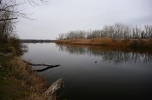Стоянка древнего человека Хрящи на Северском Донце