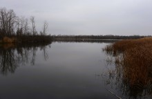 Стоянка древнего человека Хрящи на Северском Донце