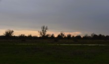 Стоянка древнего человека Хрящи на Северском Донце