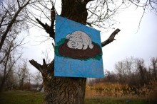 Стоянка древнего человека Хрящи на Северском Донце