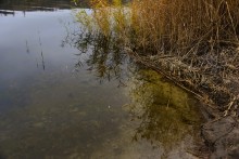 Стоянка древнего человека Хрящи на Северском Донце