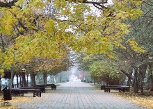 Утренний туман на Пушкинской