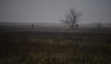 Грибы в ноябре